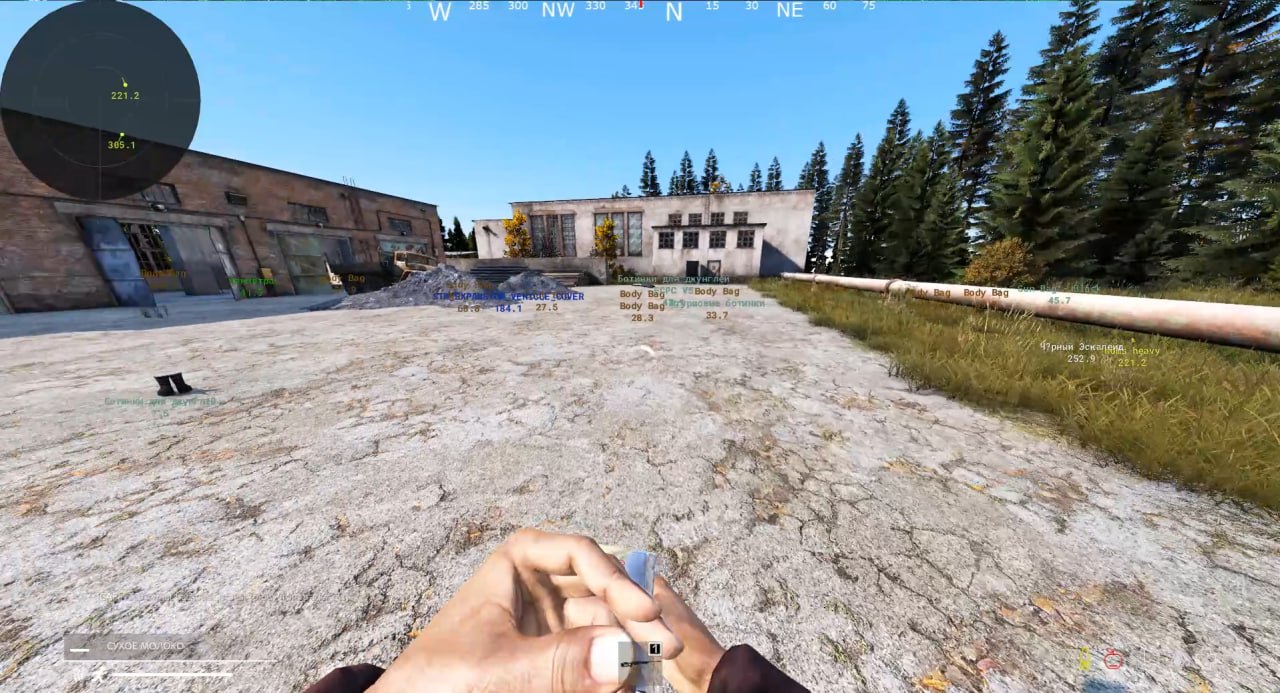 DayZ용 비공개 치트 Avalanche