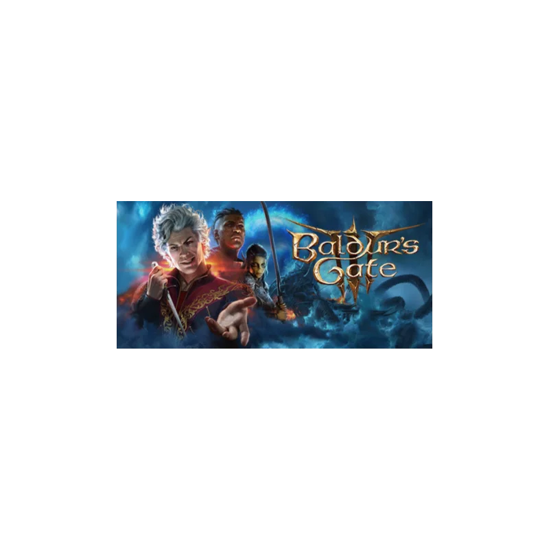 Baldurs Gate 3 III Steam Offline