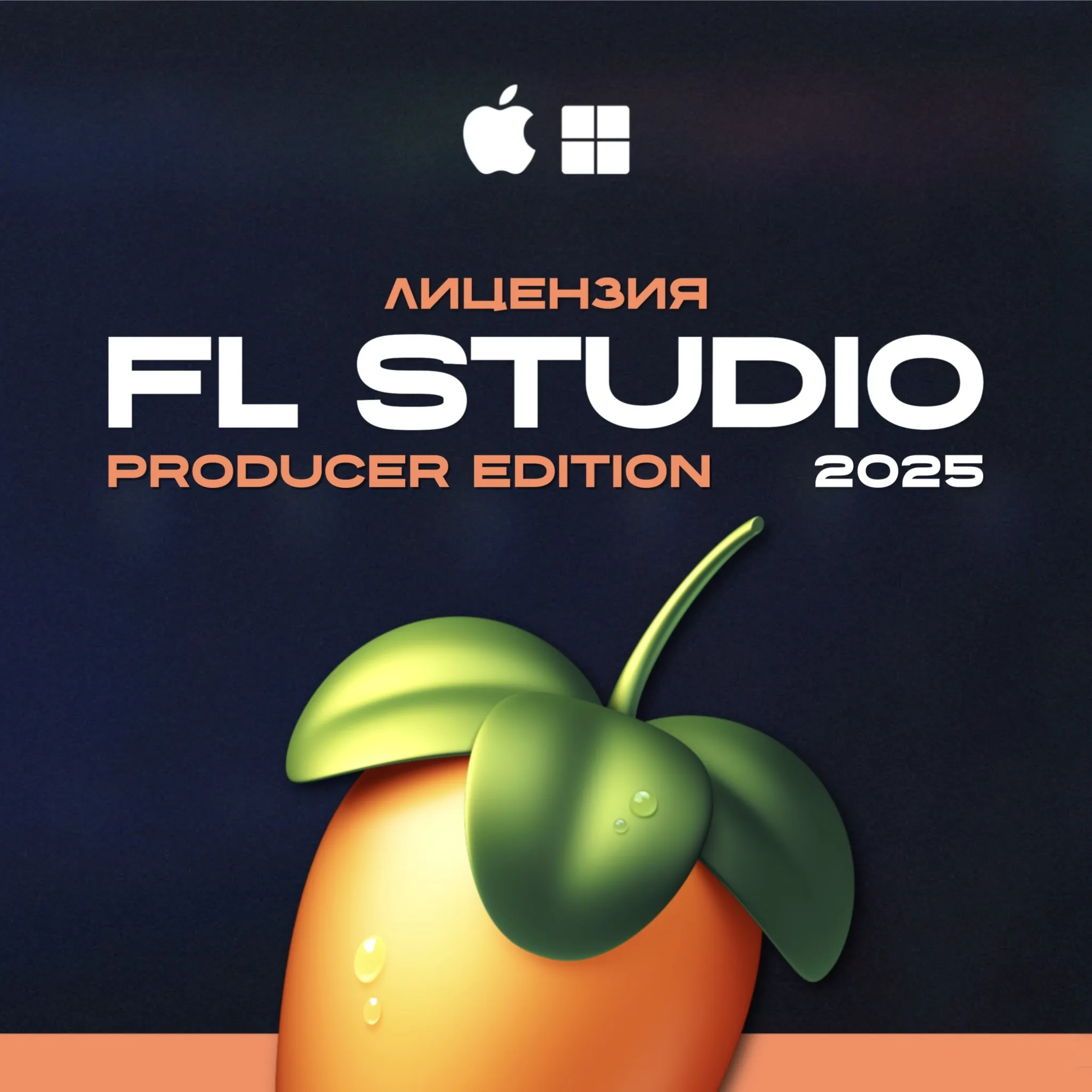 FL Studio Producer Edition