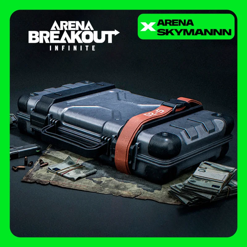 AUTO ID SETS ARENA BREAKOUT INFINITE PC